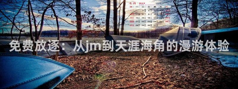 动漫天堂正版网：免费放逐：从jm到天涯海角的漫游体验