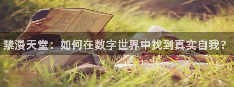 动漫天堂官网网址：禁漫天堂：如何在数字世界中找到真实自我？