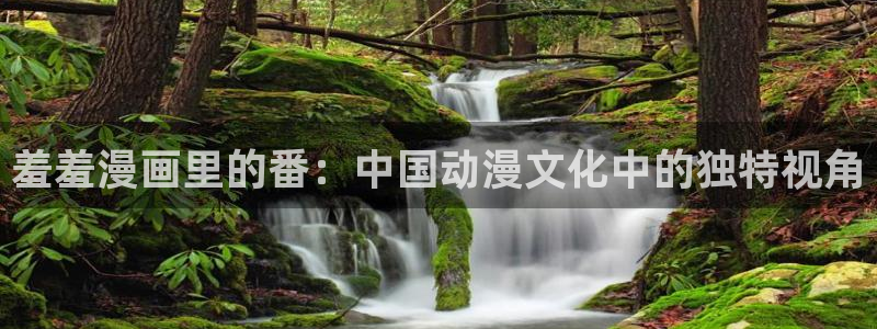 age专注动漫的门户网站：羞羞漫画里的番：中国动漫文化中的独特视角