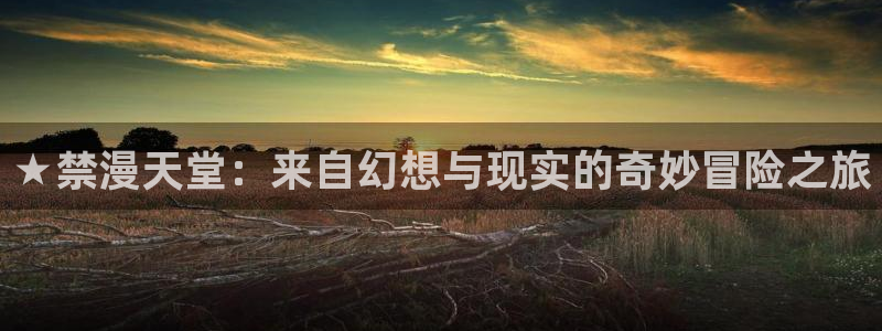 age专注动漫的门户网站：★禁漫天堂：来自幻想与现实的奇妙冒险之旅