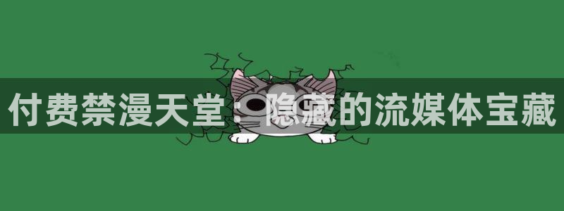 下载动漫天堂：付费禁漫天堂：隐藏的流媒体宝藏