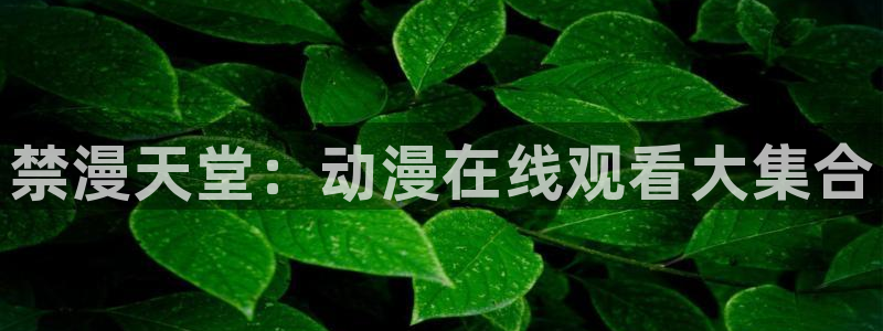动漫天堂官网樱花动漫：禁漫天堂：动漫在线观看大集合