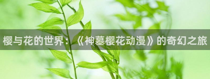 动漫天堂下载网：樱与花的世界：《神墓樱花动漫》的奇幻之旅