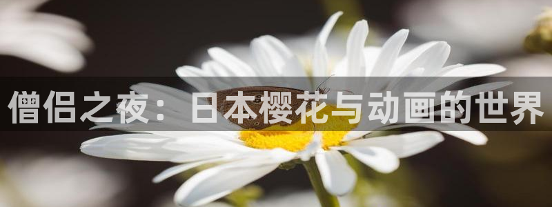 动漫天堂下载：僧侣之夜：日本樱花与动画的世界