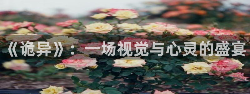 动漫天堂专注动漫的门户网站：《诡异》：一场视觉与心灵的盛宴