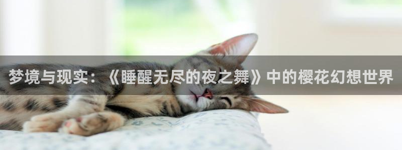 age樱花动漫：梦境与现实：《睡醒无尽的夜之舞》中的樱花幻想世界