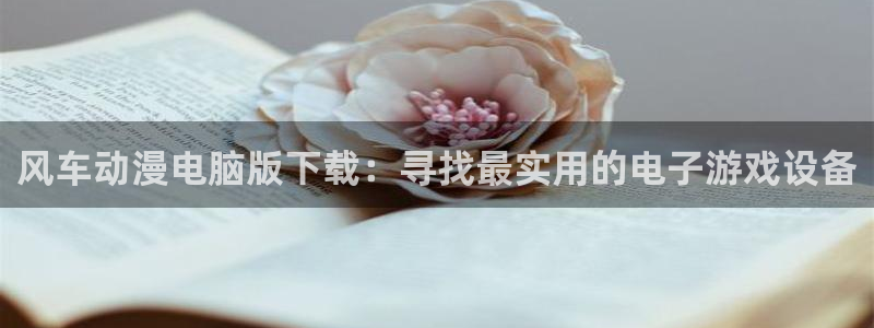 动漫天堂官网在线入口：风车动漫电脑版下载：寻找最实用的电子游戏设备