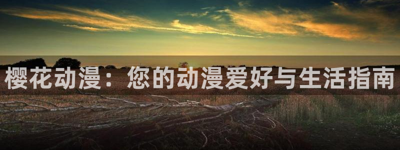动漫天堂正版网：樱花动漫：您的动漫爱好与生活指南