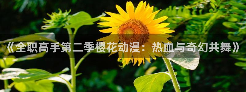 动漫天堂下载入口：《全职高手第二季樱花动漫：热血与奇幻共舞》